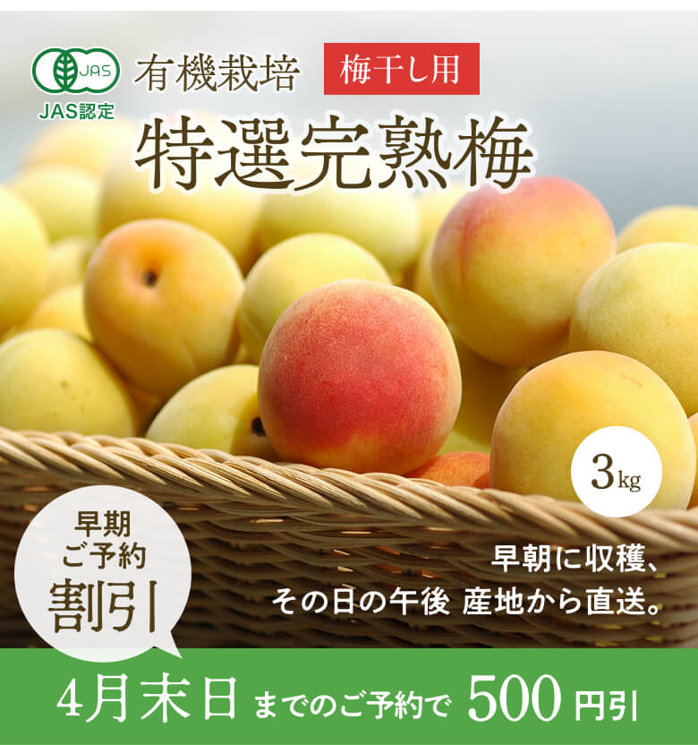 [有機栽培] 熊代農園の特選 完熟南高梅 (3kg)　　　有機 オーガニック うめ ウメ 手もぎ 産直 産地直送 朝どれ 生梅 贈答用 特選品