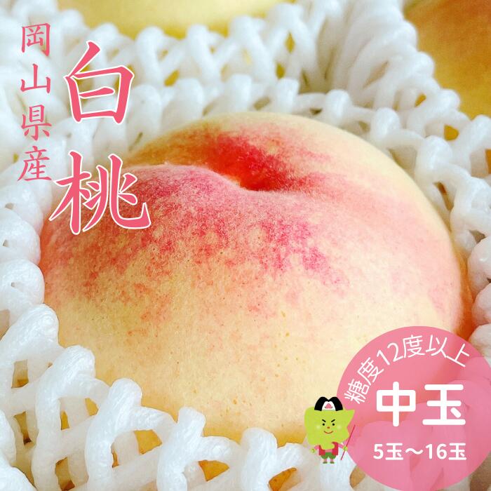 【先行予約】桃 白桃 岡山 贈答用 特秀 中玉 選べる容量 1.5g 2kg 4kg ロイヤル 光センター選別 ギフト 贈答用 御中元 岡山白桃 モモ プレゼント 御礼 御祝 御供 果物 くだもの フルーツ ※品種指定不可　　　　　　　　岡山白桃特秀 中玉