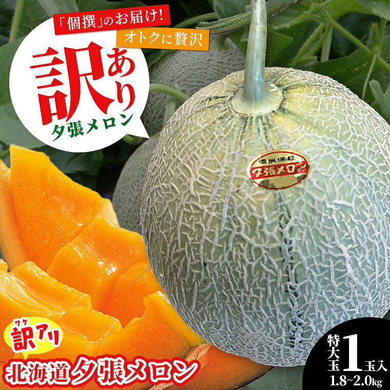 【2026年予約】 メロン 訳あり 送料無料 北海道産 夕張メロン ［個撰］ 1.8kg〜2kg 特大玉×1玉 / 訳アリ 訳有り 大玉 特大 特大玉 大きい 1玉 1玉 2kg 2kg 北海道 北海道メロン 赤肉メロン 赤肉 夕張 ゆうばり 甘い 柔らかい お得 旬 高級 自宅用 自分用 mtpup