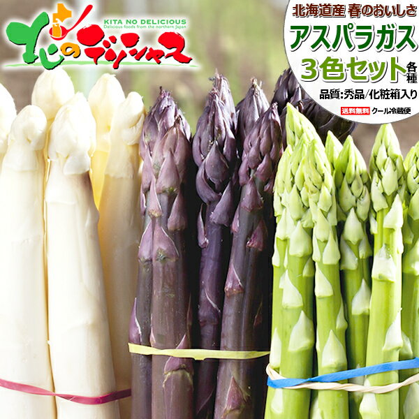 【予約】北海道産 アスパラ 3色セット 900g (各300g入り/冷蔵便)春の味覚 北海道アスパラ あすぱら アスパラガス グリーンアスパラ ホワイトアスパラ パープルアスパラ ギフト 贈り物 プレゼント 自宅用 家庭用 おうち用 野菜 北海道 グルメ お取り寄せ