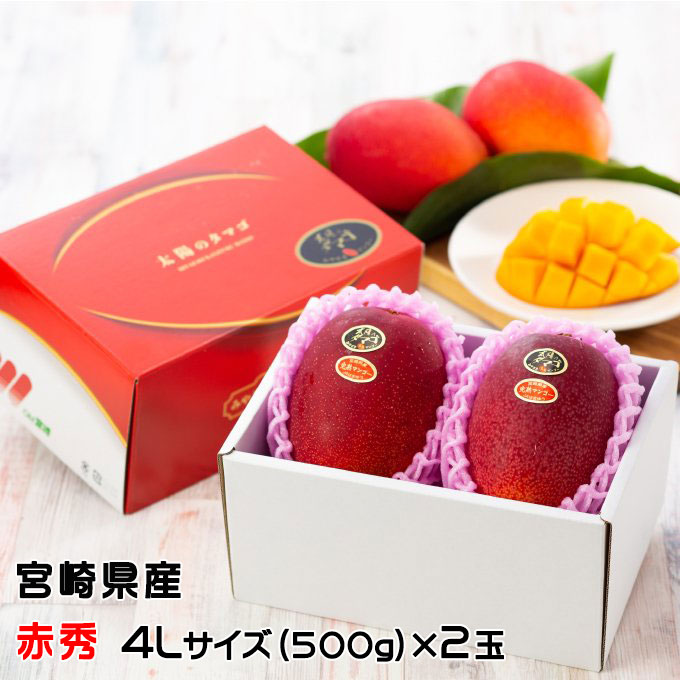 マンゴー 太陽のタマゴ 赤秀 4L 500g以上×2玉 JA宮崎経済連 宮崎県産 完熟マンゴー 太陽のたまご ギフト お取り寄せグルメ