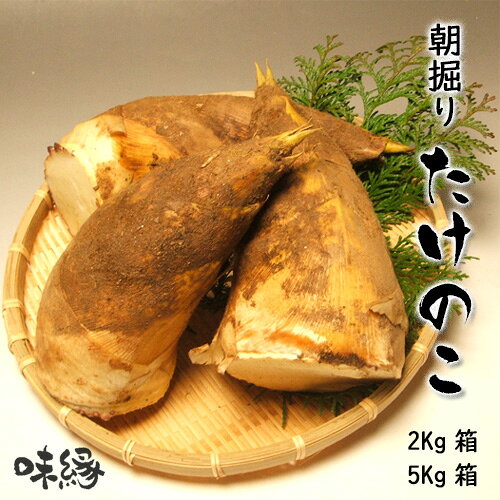 たけのこ 2Kg箱 5Kg箱 米糠 同封 筍 タケノコ 和歌山県産 朝堀り 当日 出荷品 クール便発送 鮮度抜群 贈り物 ギフト 誕生日 御礼 お花見 バーベキュー たけのこごはん 木の芽和え たけのこ料理 送料無料