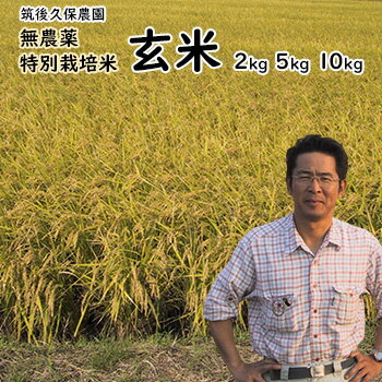 無農薬 玄米 選べる 2kg 5kg 10kg 栽培中 無肥料 特別栽培米 筑後久保農園 令和7年度産福岡県産 元気つくし 農家直送