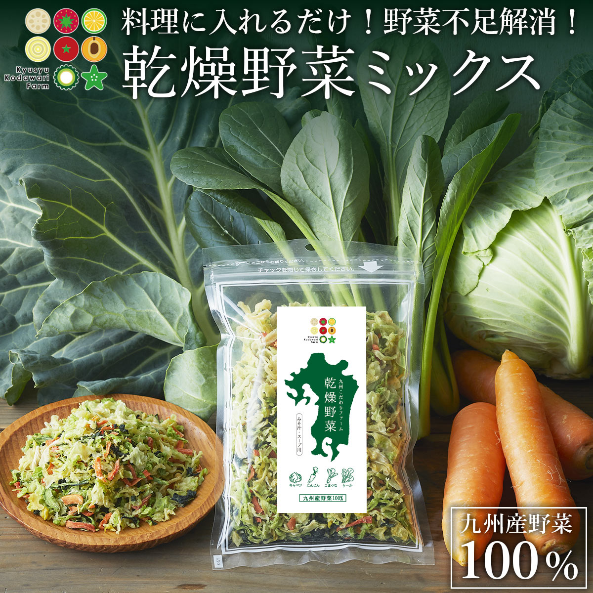 乾燥野菜ミックス 200g 100g×2袋 九州産 国産100% 4種類 送料無料 みそ汁具 無添加 ドライベジタブル 干し野菜 乾燥 キャベツ にんじん 小松菜 ケール カット野菜 長期保存 トッピング スープ おかず プレゼント