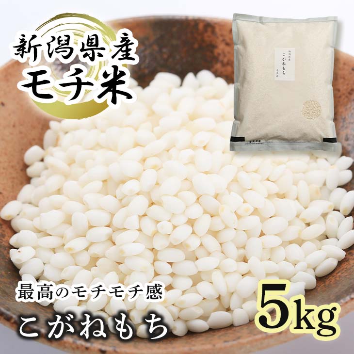 【特別価格】もち米 こがねもち 5kg 5キロ 新潟県産 コガネモチ 餅米 もちごめ 即日発送 新潟 粘りが強い もちもち 最高級 もち米 精米 お米 コメ おこわ 赤飯 もち 餅 入学 卒業 送料無料 直送 産直 精米したて 美味しい 伸びが良い 単一原料 白米 令和7年産