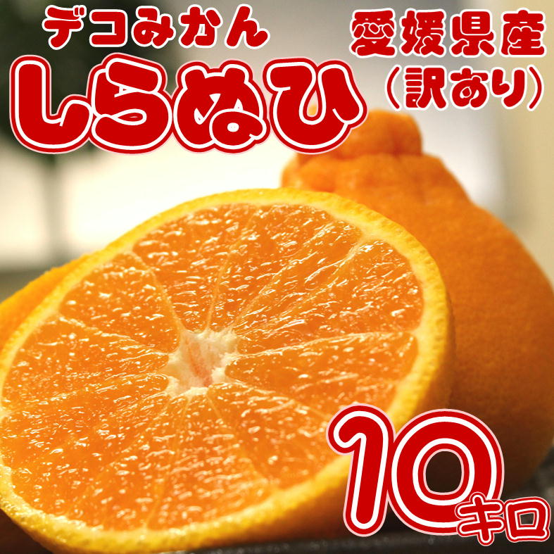 大豊作特価!! 訳あり しらぬひ 約10kg 愛媛県産 不知火 ＋補償1kg（約5kg×2箱） デコポン と同品種 規格外品