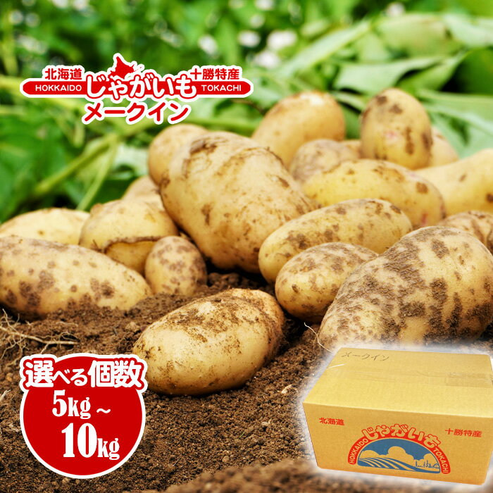 北海道 十勝特産 じゃがいも メークイン選べる個数! 5kg か 10kg 送料無料 訳あり（不揃い）じゃがいも 特徴 ポテトサラダ フライドポテト カレー コロッケ ジャガイモ シチュー カレー ジャガイモ 国産 北海道産 大容量 まとめ買い 業務用 贈り物 ほくほく 美味しい