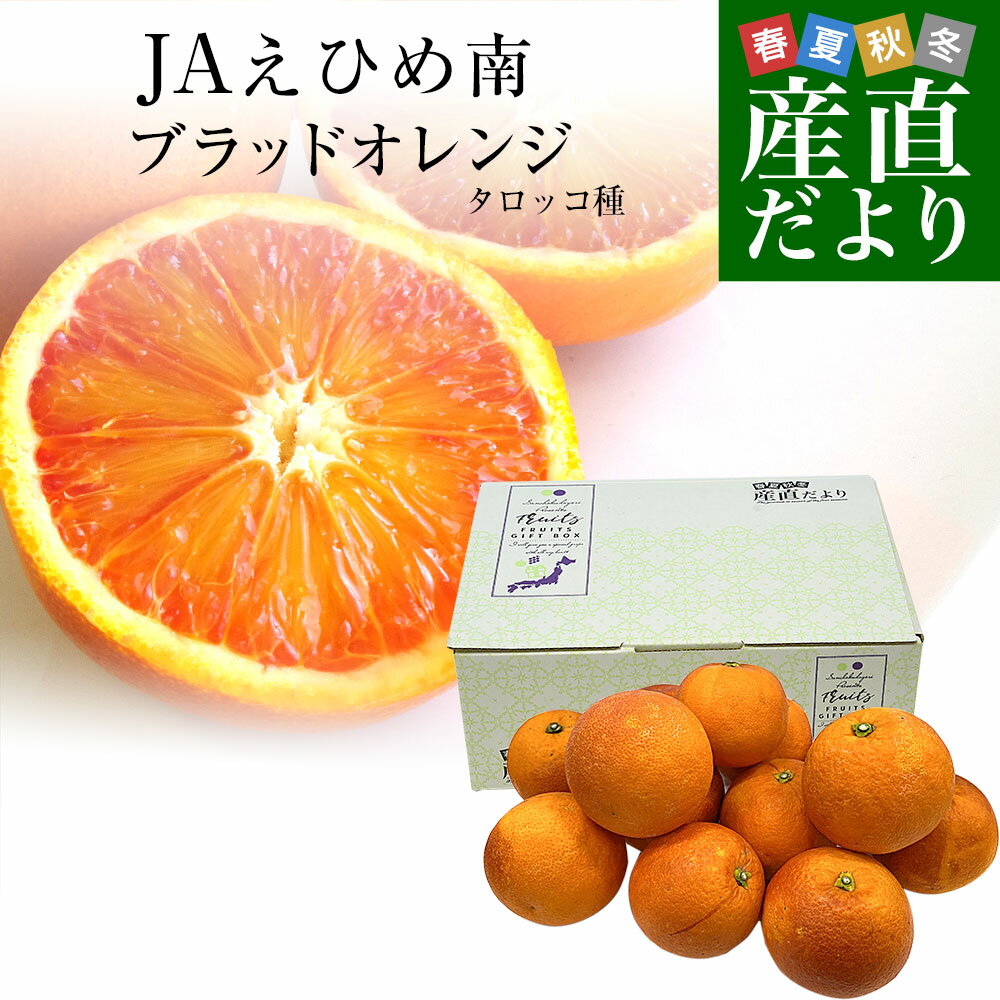 愛媛県産 JAえひめ南 ブラッドオレンジ タロッコ種 優品 2Lから3Lサイズ 2.5キロ (7玉から12玉前後) 送料無料 柑橘 国産オレンジ 国産ブラッド