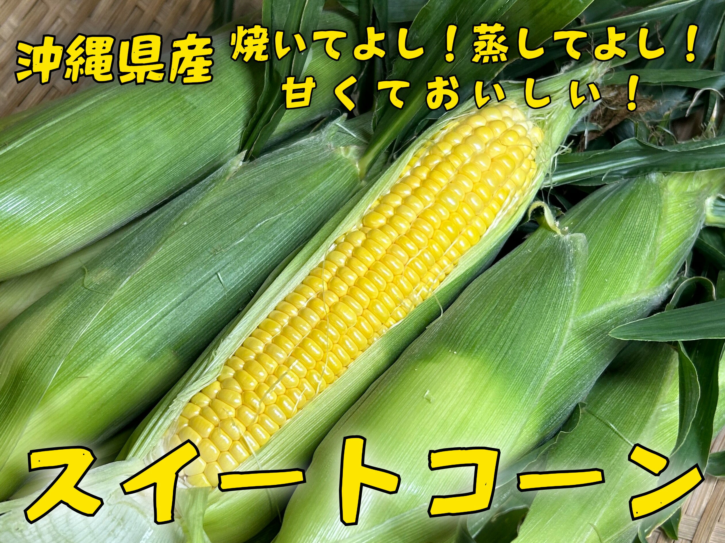 スイートコーン・L1箱（17本）発送1月〜5月 沖縄県産（沖縄県産とうもろこし コーン スイートコーン） 国産 野菜 お取り寄せ 料理 惣菜 おかず サラダ コーンスープ コーンポタージュ 材料 たま青果
