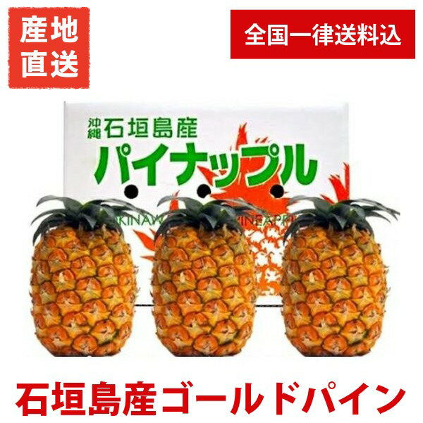 【5月中旬～6月下旬順次お届け】産地直送 石垣島産 ゴールドパイン 2kg（2～3玉）/ 3kg（3～5玉）沖縄特産 国産 フルーツ おいしい 美味しい 高級 ギフト お中元 贈り物 果物 のし 熨斗 御祝い お歳暮 法事