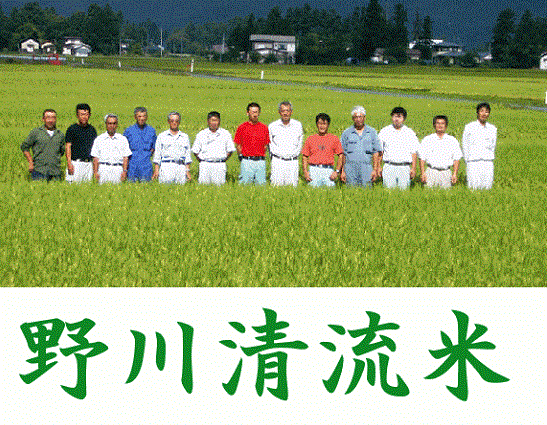 令和7年産 減農薬特別栽培米山形県産はえぬき玄米25kg【30kg商品からかわりました】【北海道〜近畿地方のみ送料無料】【中国・四国・九州・沖縄地方は追加運賃】