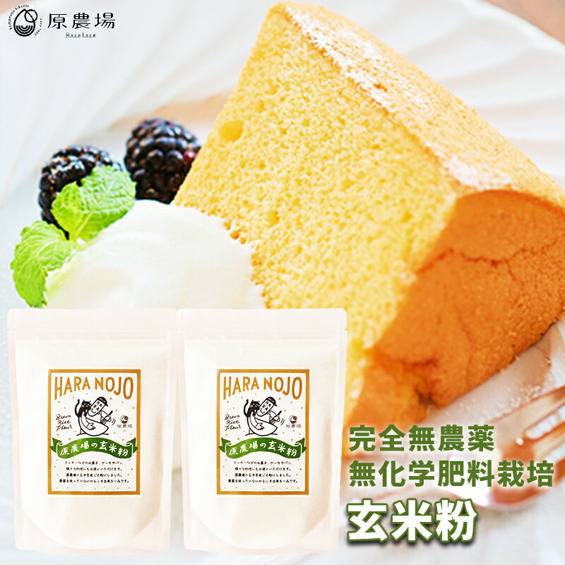国産オーガニック 完全無農薬 無化学肥料栽培の玄米粉 原農場の玄米粉800g(400g×2袋)無農薬・化学肥料不使用 熊本県産 国産 玄米粉 米粉 有機JAS メール便 パンケーキ、ホットケーキ、クッキー、ドーナツ、パン、揚げ物の衣や離乳食にも自然栽培 ヒノヒカリ玄米
