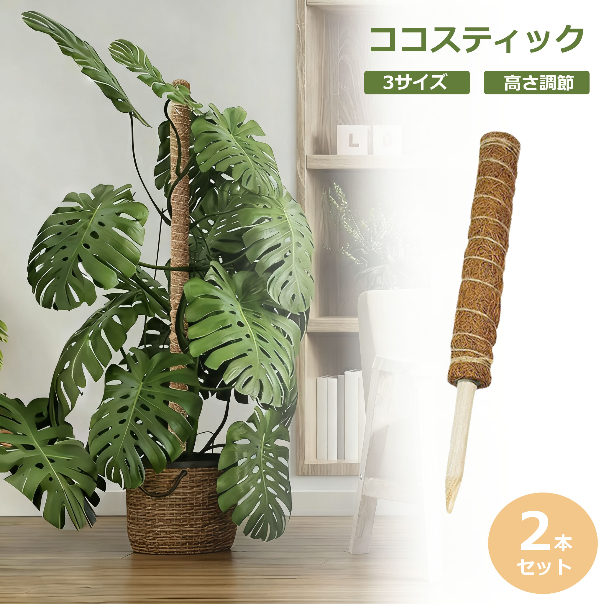 【2本セット 30cm 40cm 50cm】観葉 植物 支柱 モンステラ 支柱 おしゃれ ヘゴ支柱 ヘゴ 棒 ココナッツ ココヤシ 支柱 ココ スティック 園芸 支柱 フラワー ポトス 支柱 ガーデニング 植物サポート つる性植物 トマト ポトス 観葉植物 支柱 高さ調整
