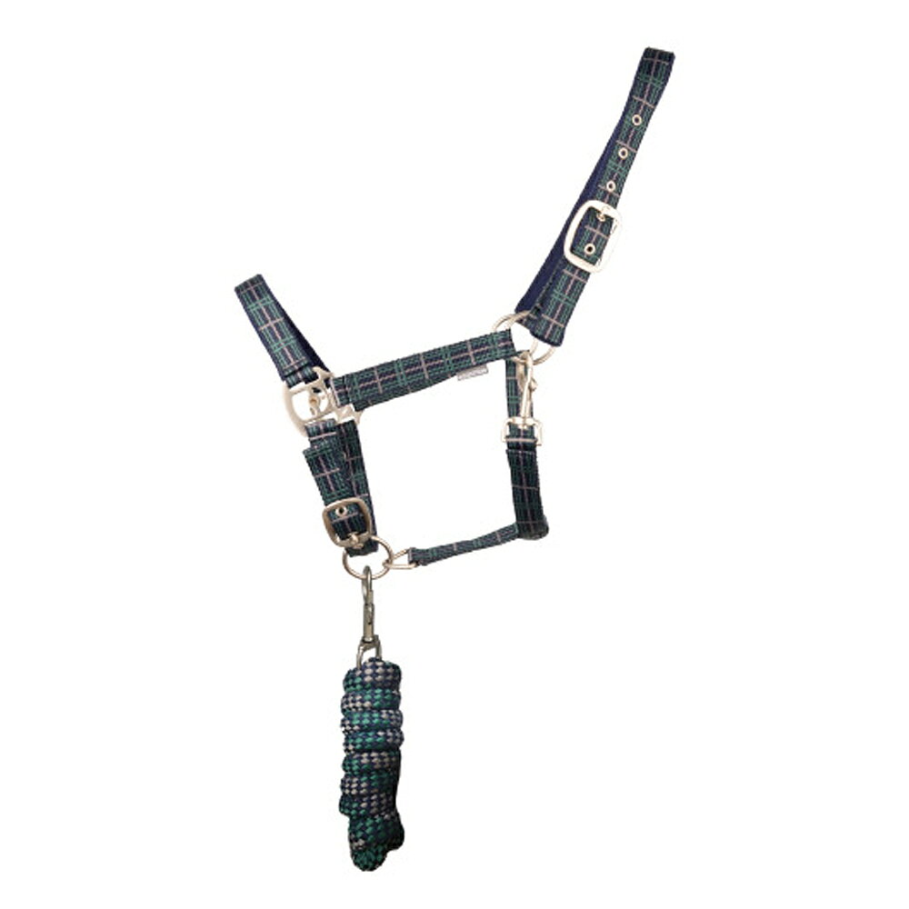 (ハイ) Hy 馬用 タータン ヘッドカラー スエード 乗馬 馬具 ホースライディング 【海外通販】