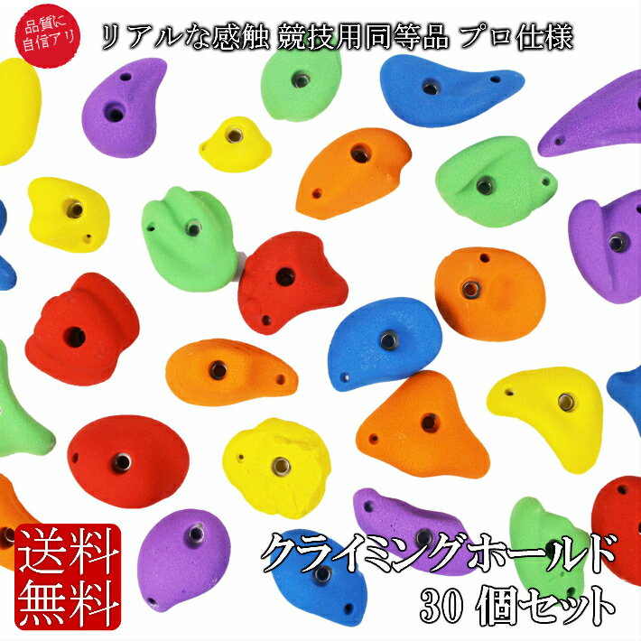 プロ仕様 カラー クライミングホールド 本格派 30個セット 爪付きナット ボルト アンカー ボルダリング トレーニング ロッククライミング インテリア 子供 爪付きTナット ホールド プレゼント クライミング スポーツ 競技 高品質